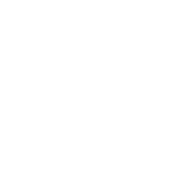 yankees